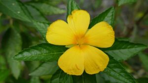 G4bb5284173a832c87769ab233abb21ea4ae05e463e99528c47d303191db4d65900078fc3d15e608b73fe3fdd6c39a0c9b5c570c86155f53519a63e3eef20243b 640